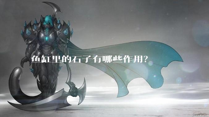 鱼缸里的石子有哪些作用？