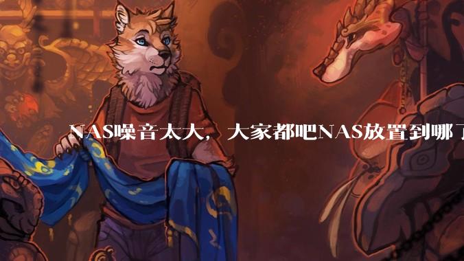NAS噪音太大，大家都吧NAS放置到哪了？