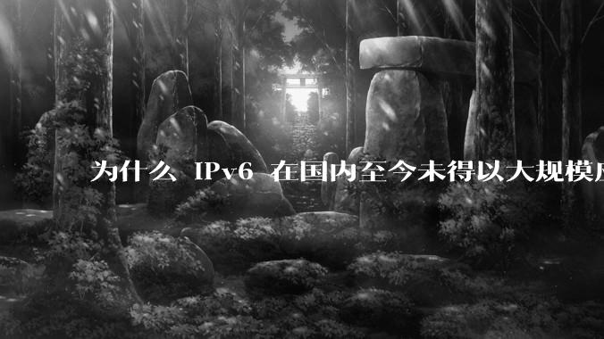 为什么 IPv6 在国内至今未得以大规模应用?