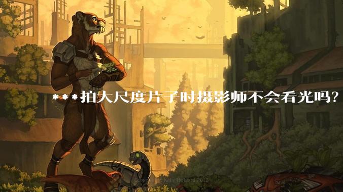 ***拍大尺度片子时摄影师不会看光吗？